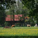Lehmann, Ursel