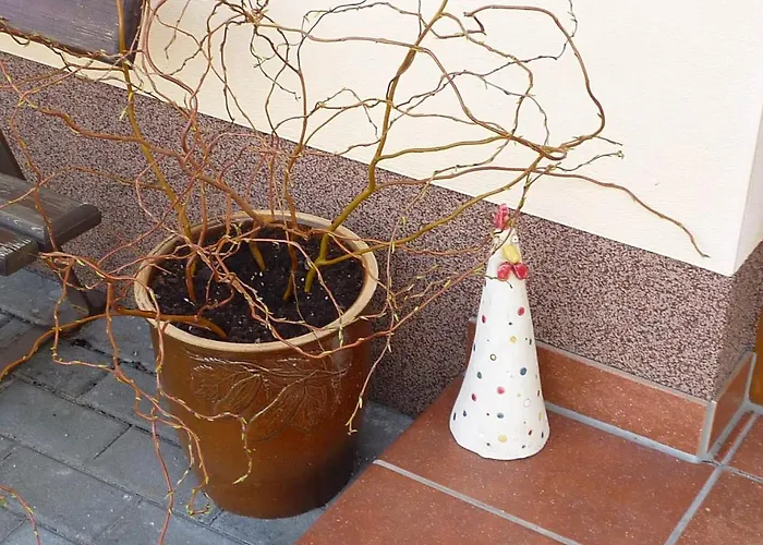 Lehmann, Ursel شقة