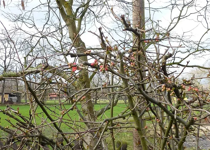 Lehmann, Ursel شقة Burg Kauper